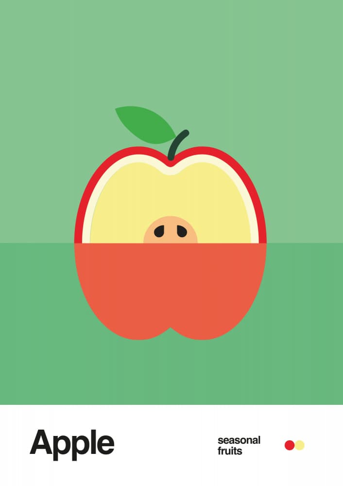 Fresh Cut Apple by David Vineïs — canvas wall art