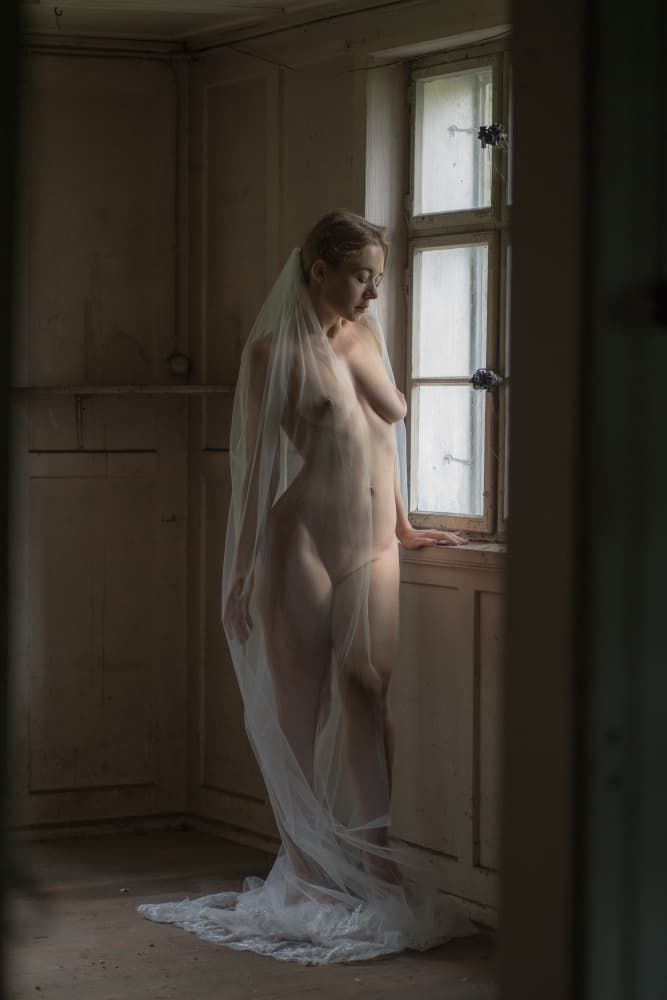 Ethereal Bride At Window by Ruth Franke — canvas wall art