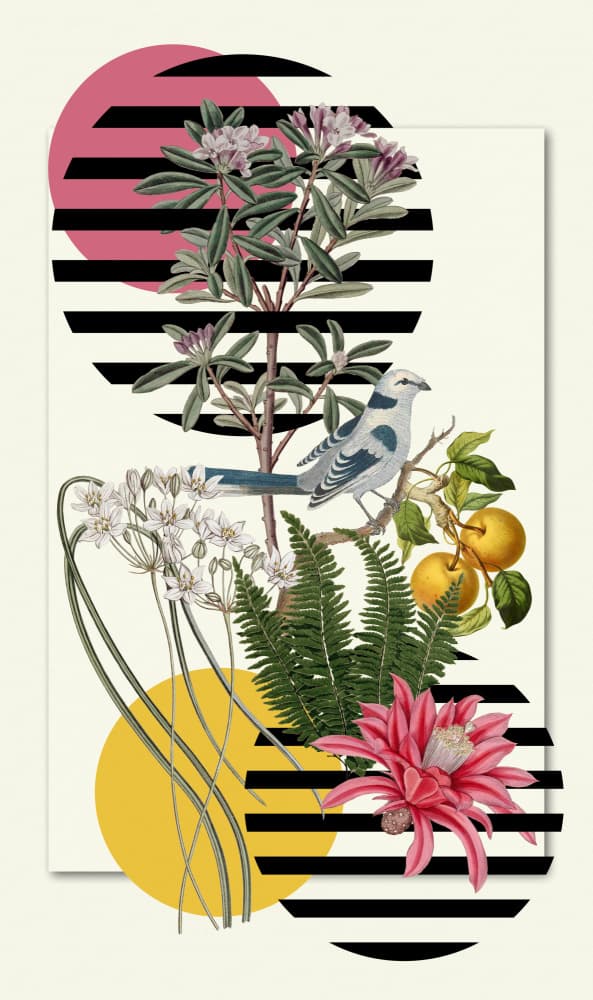 Vibrant Botanical Collage by Marja van den Hurk — canvas wall art