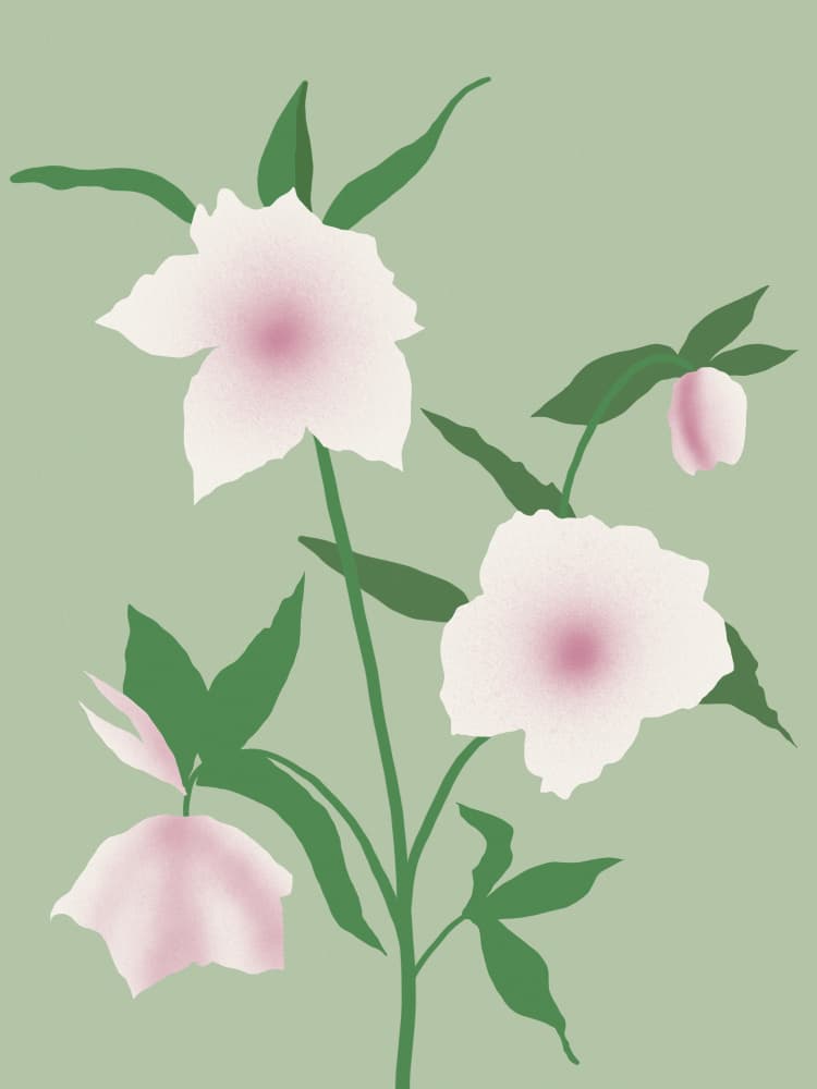 Delicate Floral Blooms by Little Dean — canvas wall art