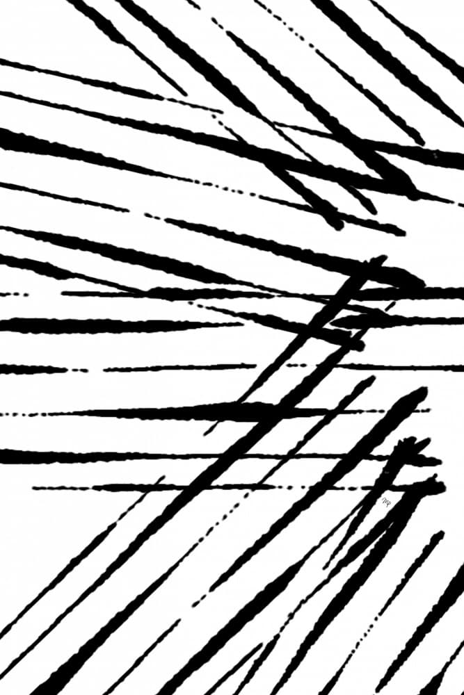 Dynamic Black Strokes by Martina — canvas wall art