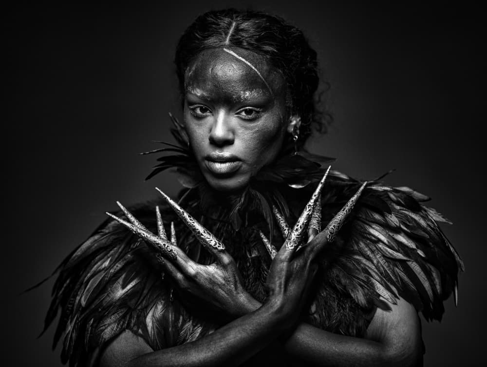 Fierce Feathered Beauty by Offer Ellbogen — canvas wall art
