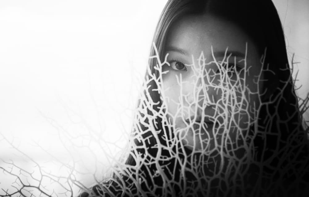 Mysterious Coral Veil by Mi Young Choi — canvas wall art