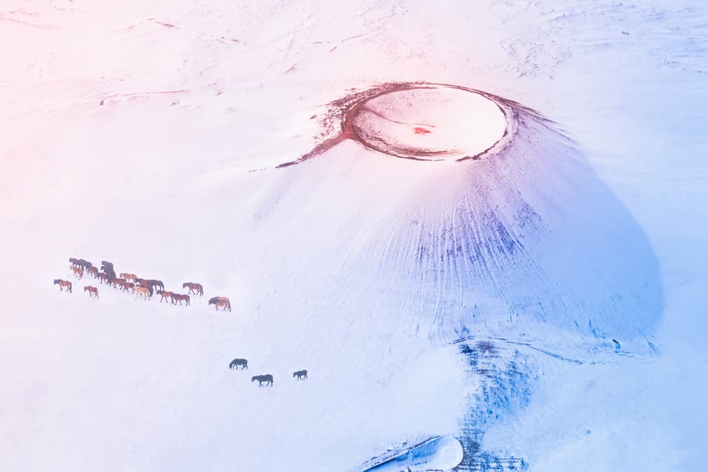 Wild Horses Snowy Volcano by Simoon — canvas wall art