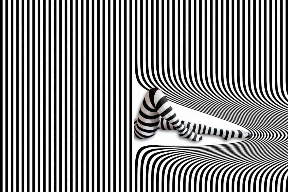 Striped Legs Optical Illusion by Erhard Batzdorf — canvas wall art