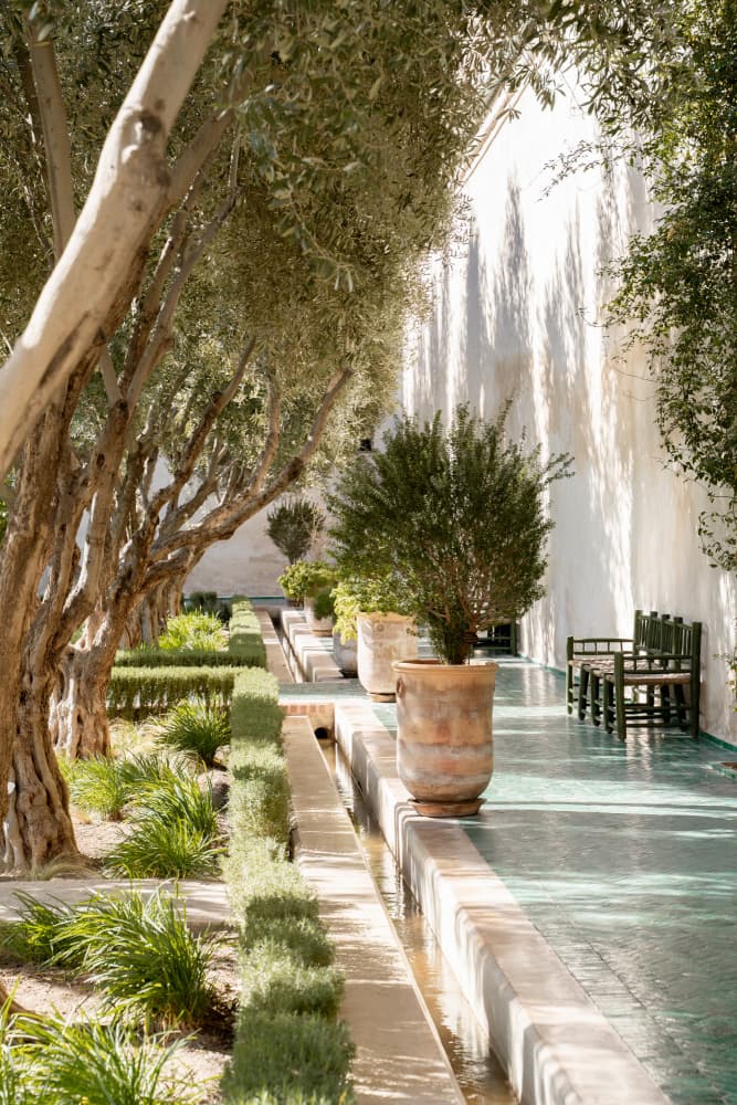 Mediterranean Garden Courtyard by Henrike Schenk — canvas wall art