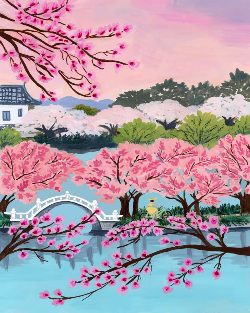 Cherry Blossom Serenity by Sarah Gesek — canvas wall art