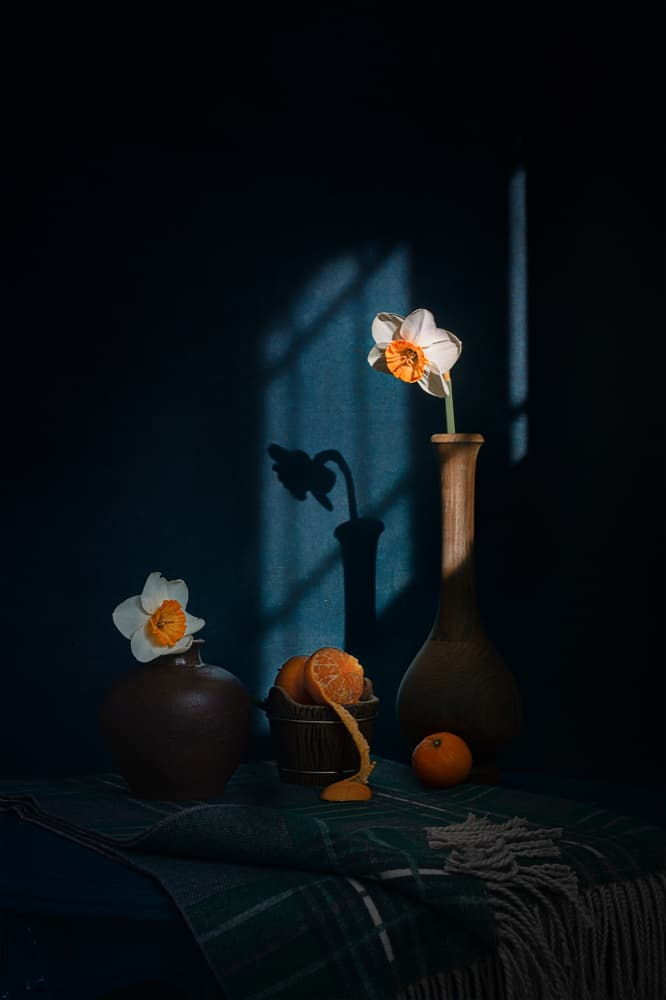 Daffodils Citrus Shadows by Lydia Jacobs — canvas wall art