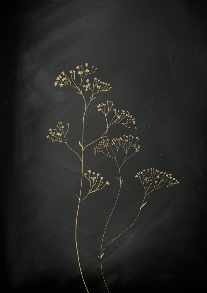 Delicate Dried Botanicals by Aureous — canvas wall art