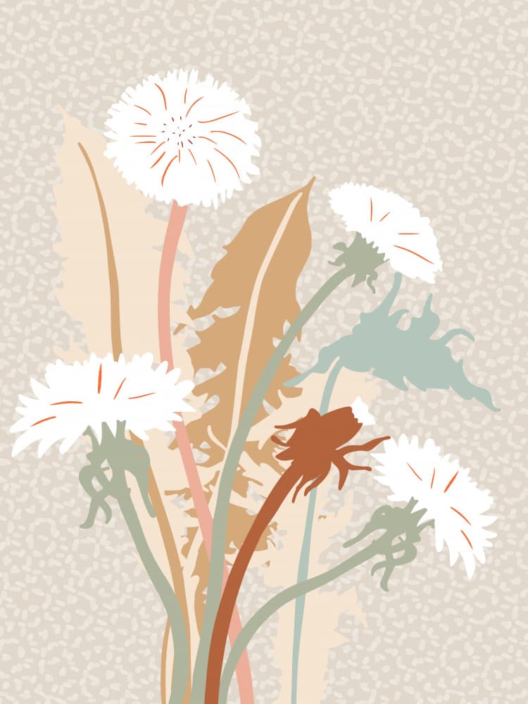 Earthy Dandelion Floral by Annick — canvas wall art