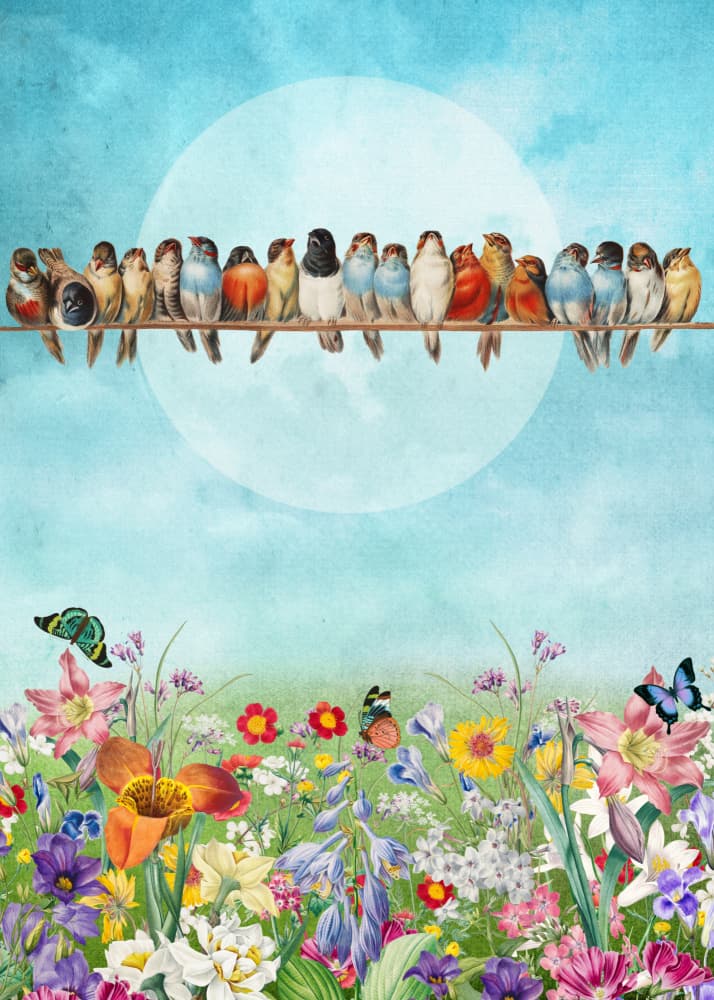 Cheerful Birds and Blooms by Marja van den Hurk — canvas wall art