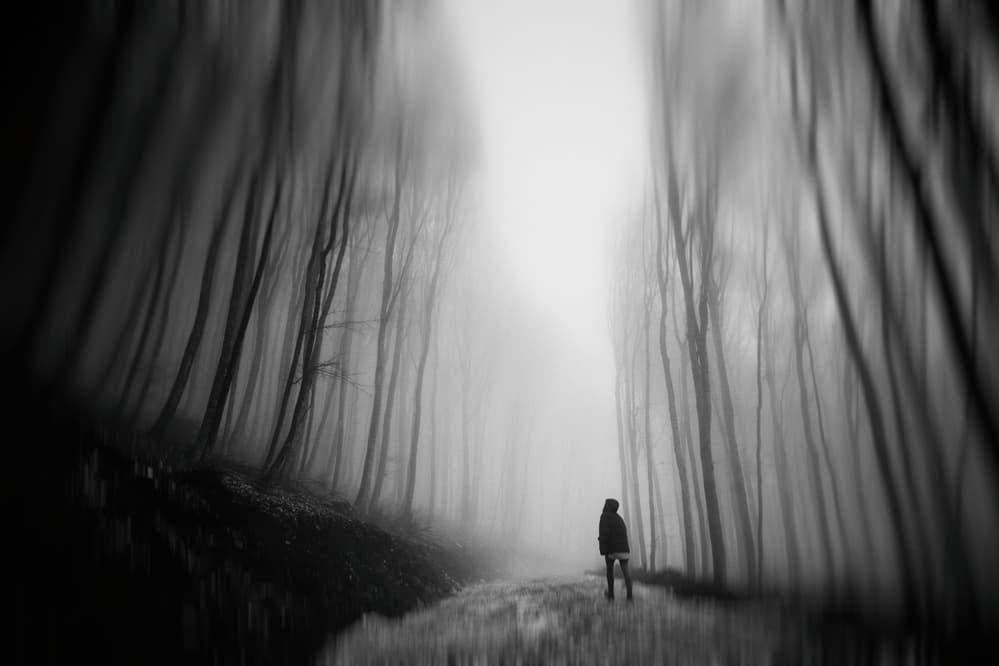 Lone Figure Misty Forest by Primož Kožuh — canvas wall art