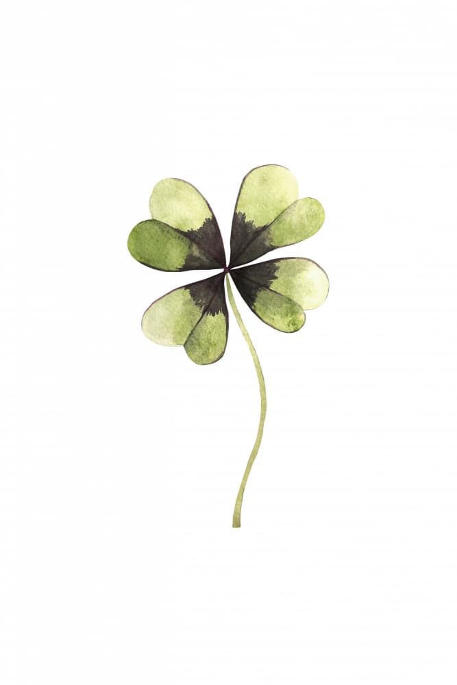 Lucky Four Leaf Clover by Karen Menzenbach — canvas wall art