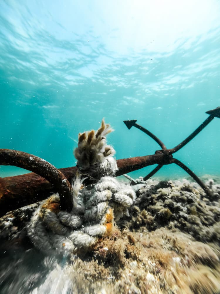 Rusty Anchor Underwater by Hilal safarjalani — canvas wall art