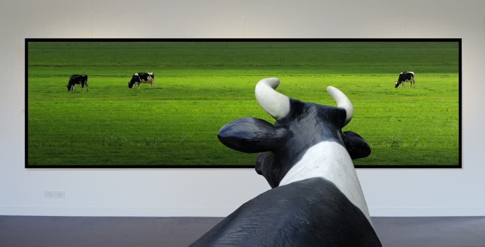 Cow Gazing Pasture by Huib Limberg — canvas wall art