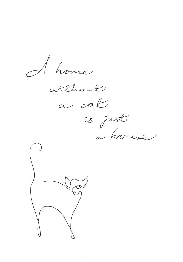 Minimalist Cat Home Quote by Pictufy Studio II — canvas wall art