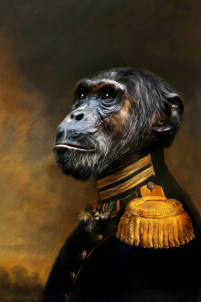 Johan by Tein Lucasson — canvas wall art