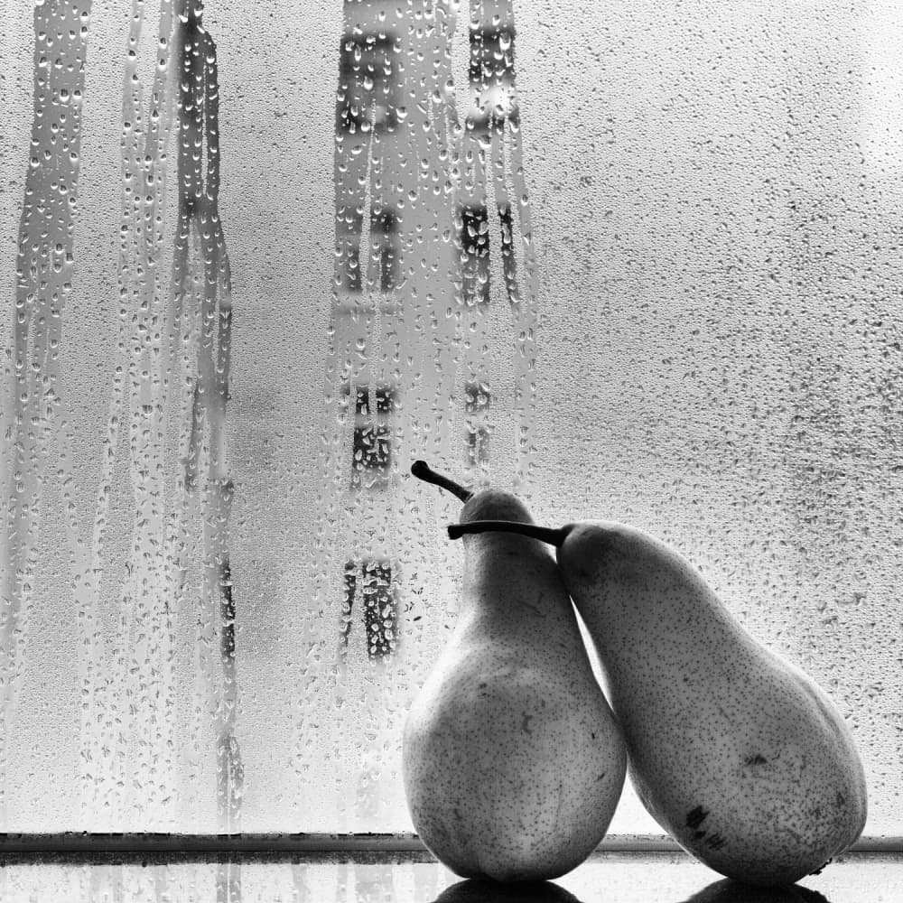 Rainy Window Pears by BJ Yang — canvas wall art