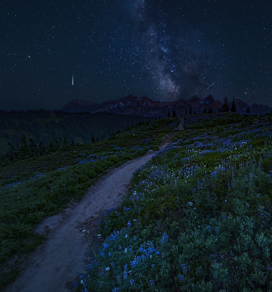 Milky Way Mountain Trail by Judy Tseng — canvas wall art