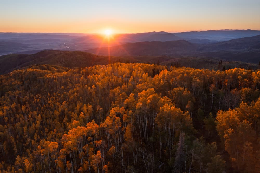 Golden Aspen Sunset by John Fan — canvas wall art