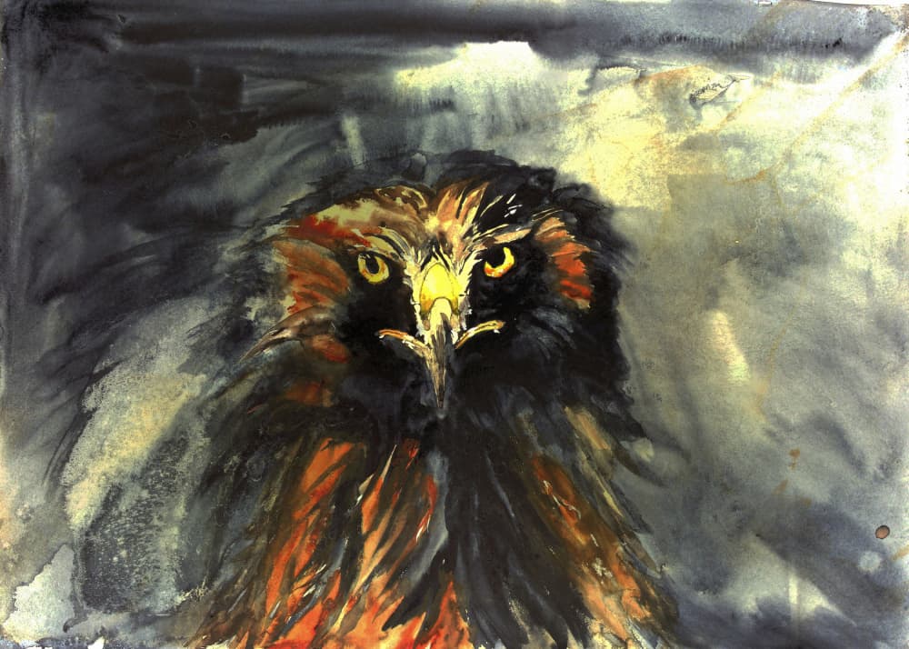 Fierce Eagle Stare by RodMacIver — canvas wall art