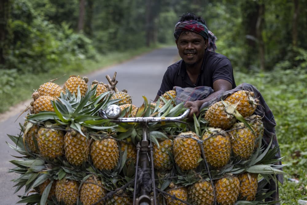 Happy Pineapple Vendor by Azim Khan Ronnie — canvas wall art