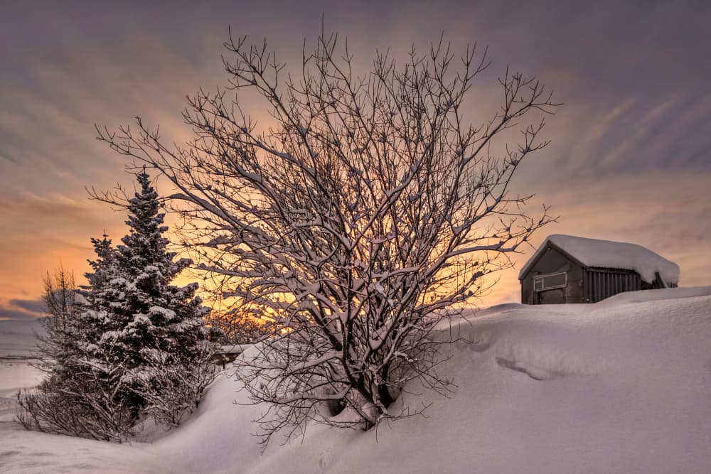 Snowy Cabin Golden Sunset by Bragi Ingibergsson - BRIN — canvas wall art