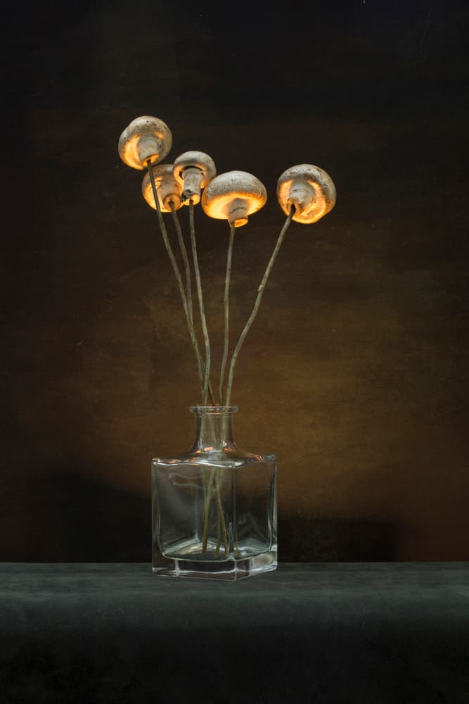 Illuminated Mushroom Vase by Brig Barkow — canvas wall art