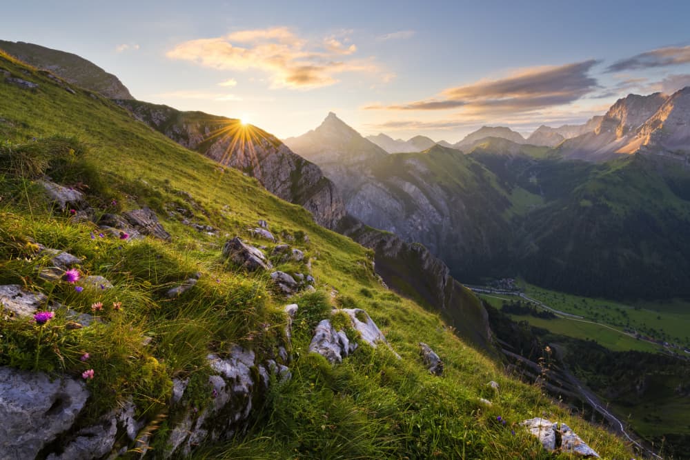 Summer Meadow by Stefan Hefele — canvas wall art