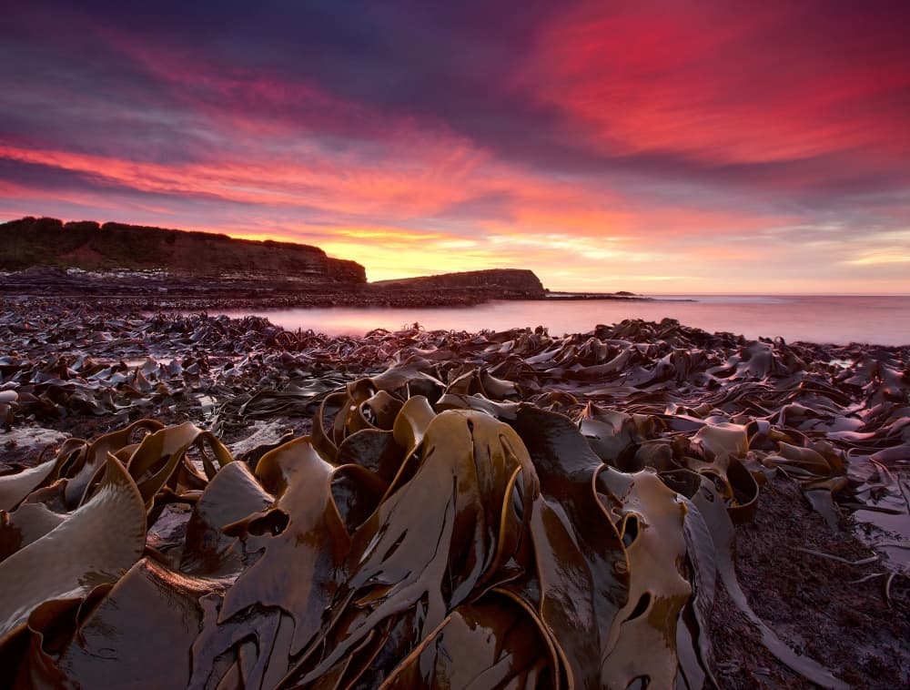 Vibrant Coastal Sunset by Yan Zhang — canvas wall art