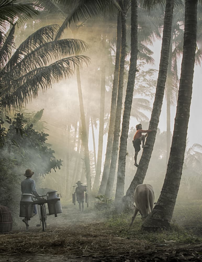 Misty Palm Village Life by Angela Muliani Hartojo — canvas wall art