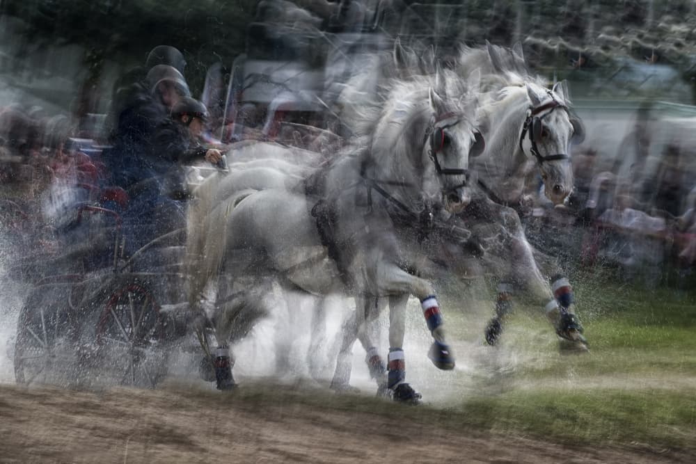 Speeding White Horses by Milan Malovrh — canvas wall art