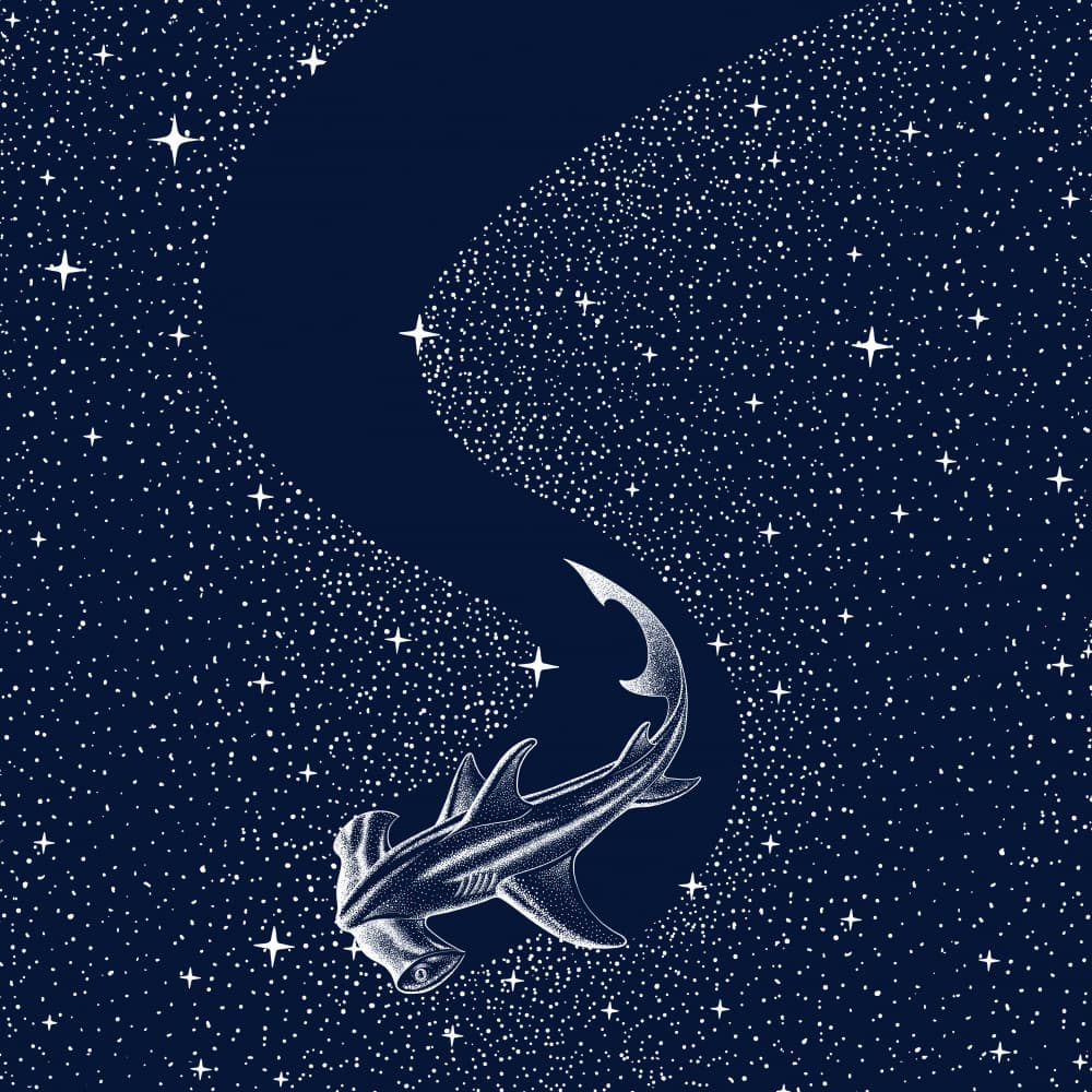 Starry Hammerhead Shark by Alirıza ÇAKIR — canvas wall art