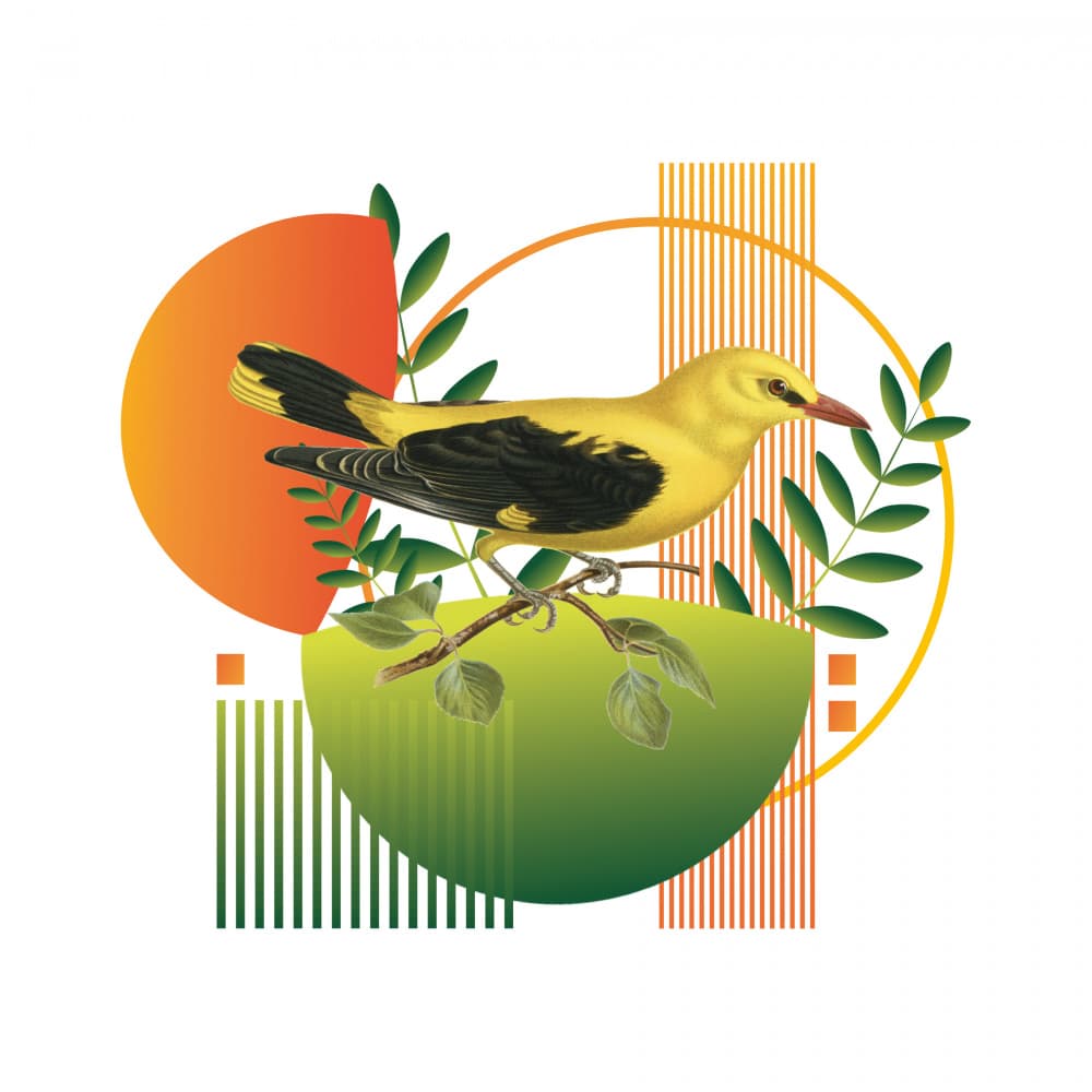 Golden Bird Modern Geometry by Marja van den Hurk — canvas wall art