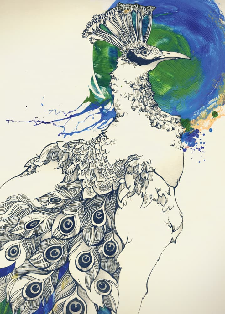 Elegant Peacock Earth by Tetiana Kava Illustration — canvas wall art