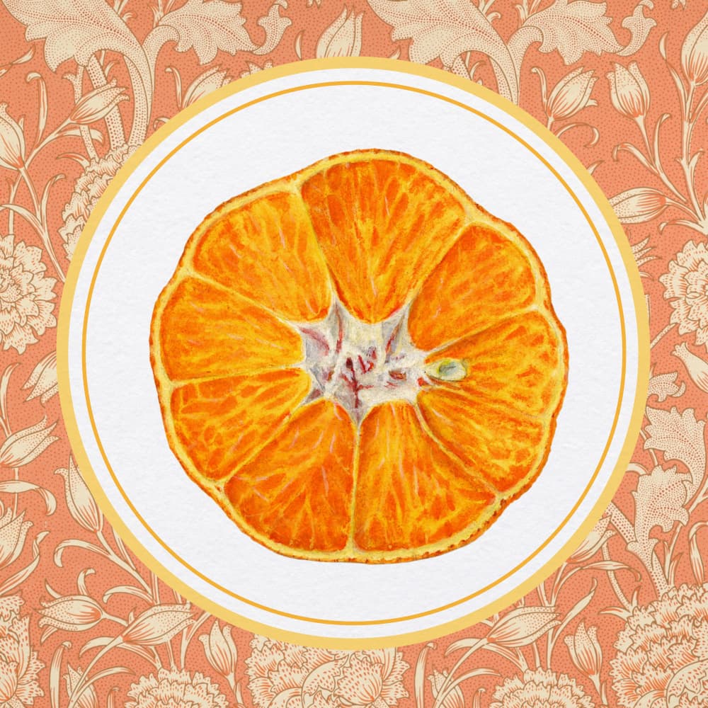 Vibrant Orange Slice by Wild Violets — canvas wall art