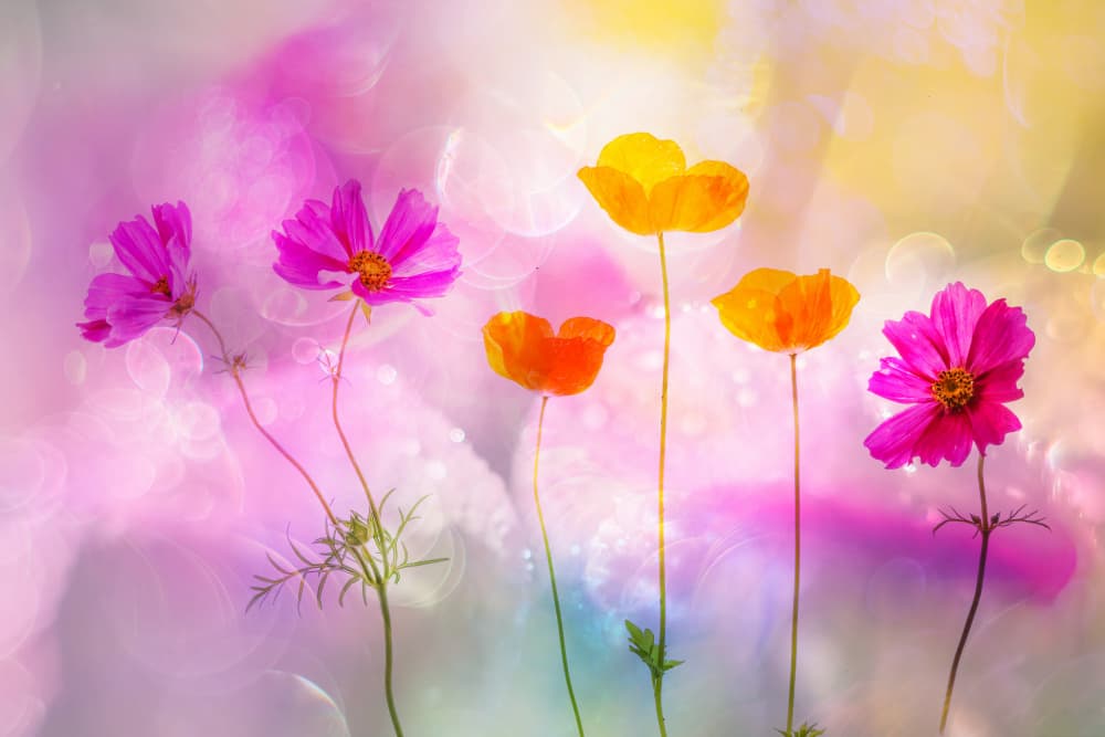 Ethereal Garden Blooms by Hilda van der Lee — canvas wall art