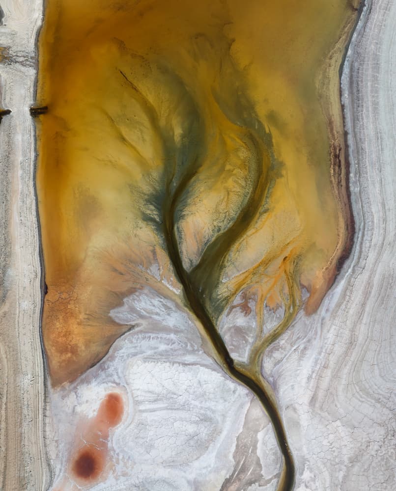 Earthy Abstract Landscape by Shenshen Dou — canvas wall art