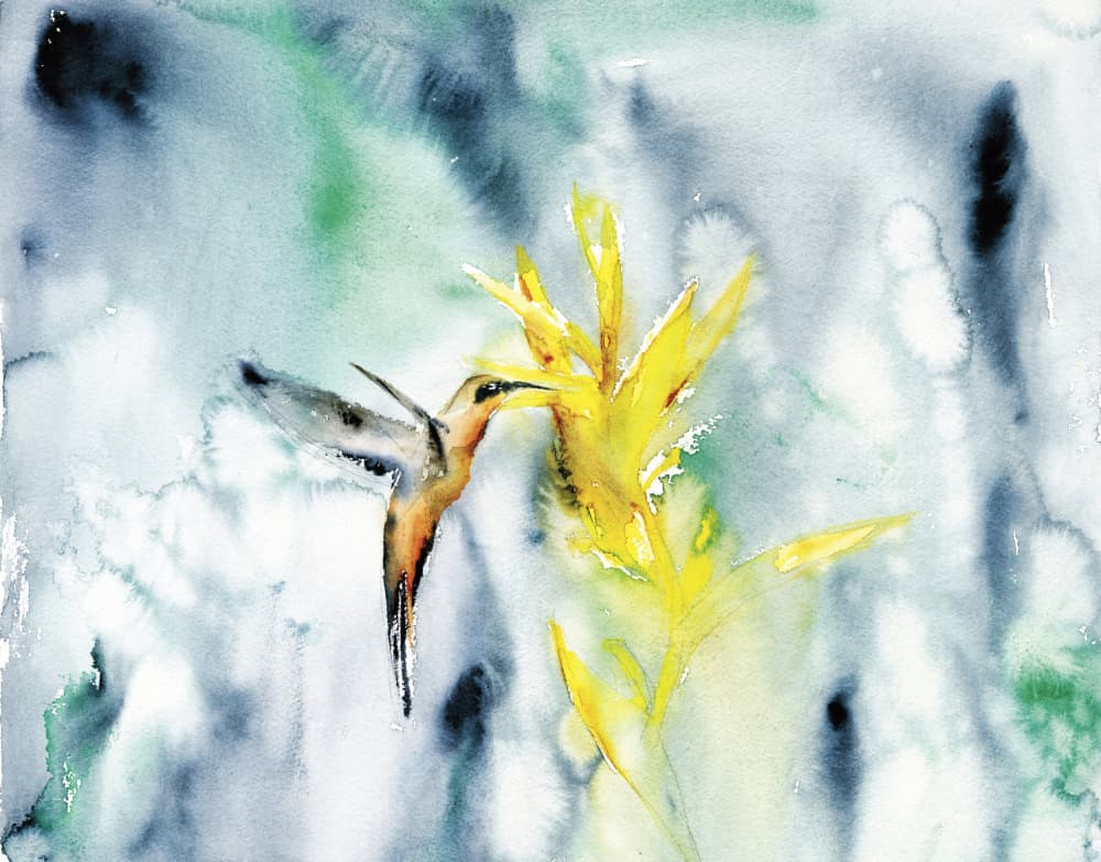 Vibrant Hummingbird Bloom by RodMacIver — canvas wall art