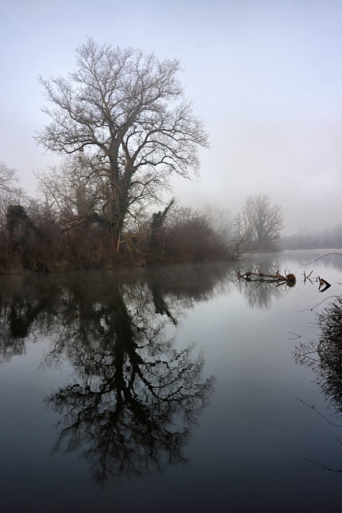 Misty River Reflection by Bojan Bencic — canvas wall art