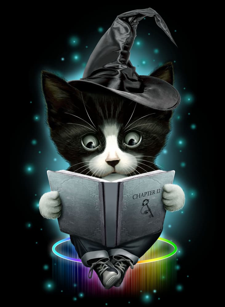 Magic Reading Kitten by Adam Lawless — canvas wall art