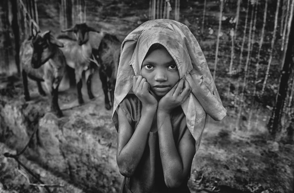 Thoughtful Girl With Goats by Avishek Das — canvas wall art
