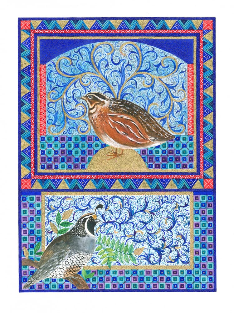 Quail by Isabelle Brent — canvas wall art