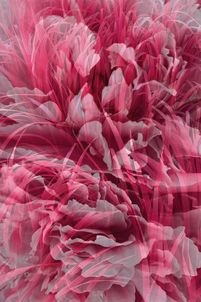 Vibrant Floral Dream by Pelin Atilla — canvas wall art