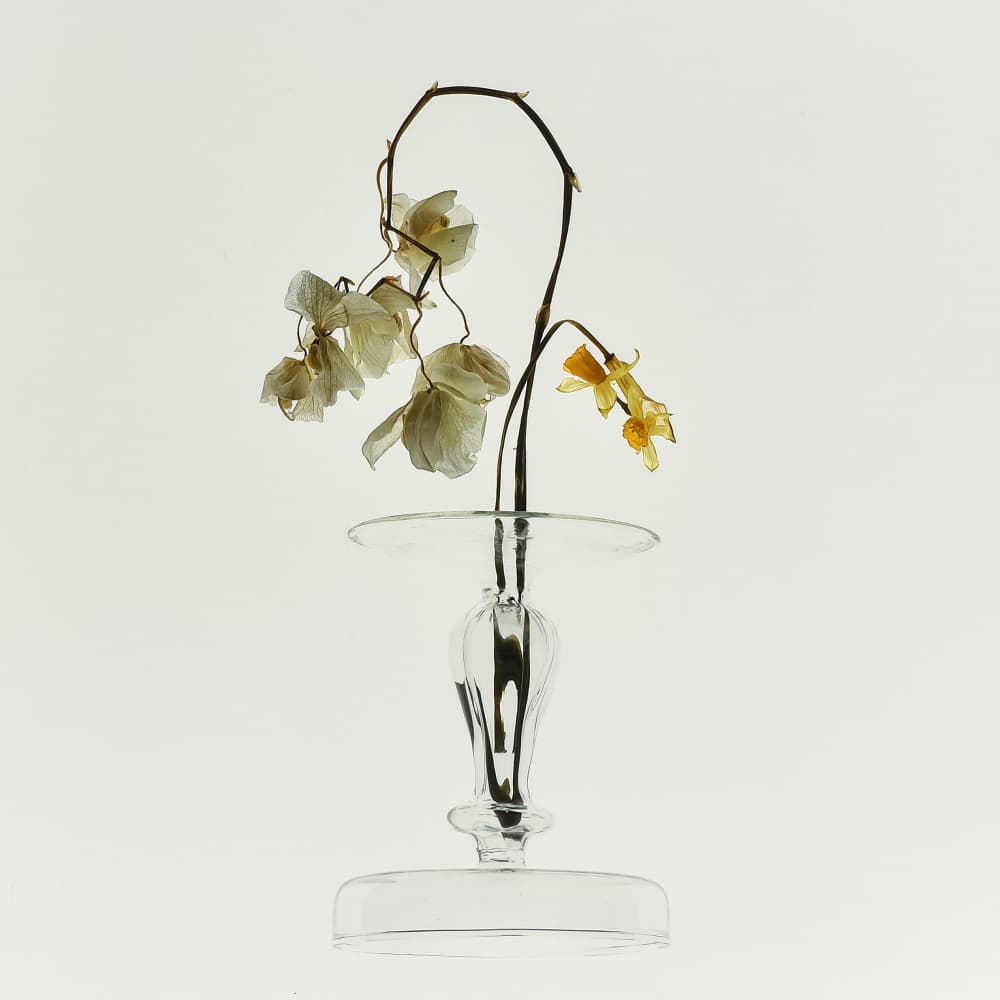 Withered Beauty Still Life by Yuanwei Zuo APA — canvas wall art