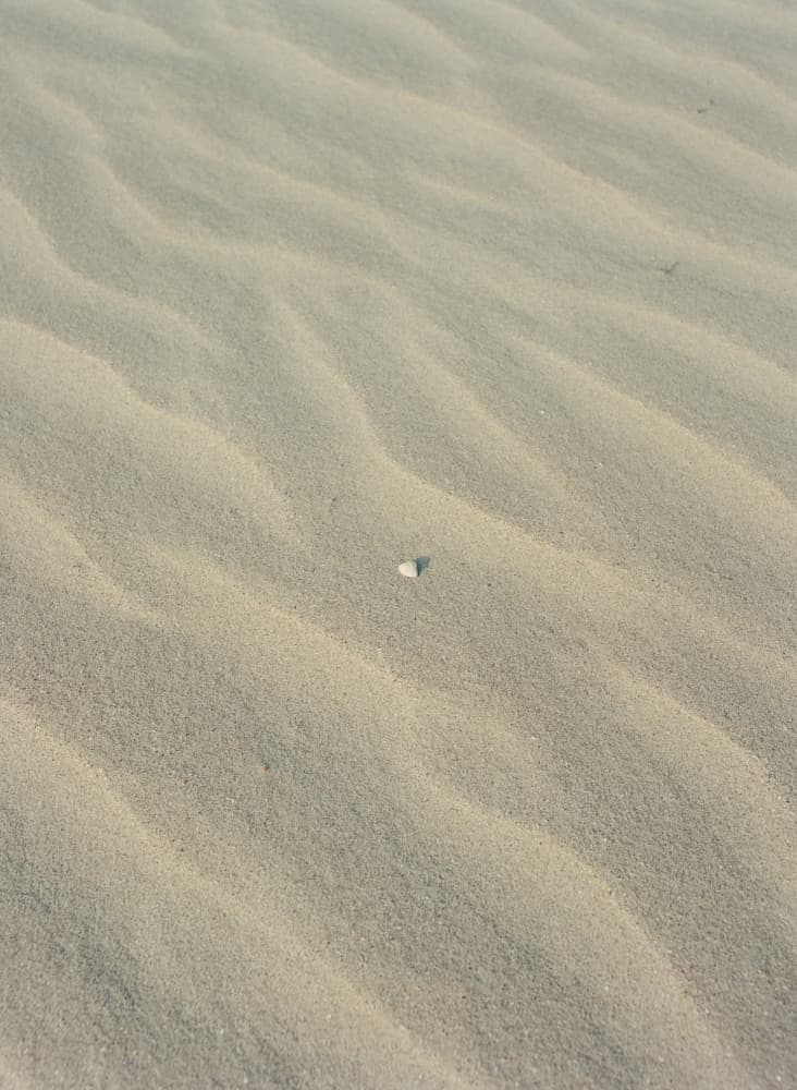 Gentle Beach Ripples by Bethany Young — canvas wall art