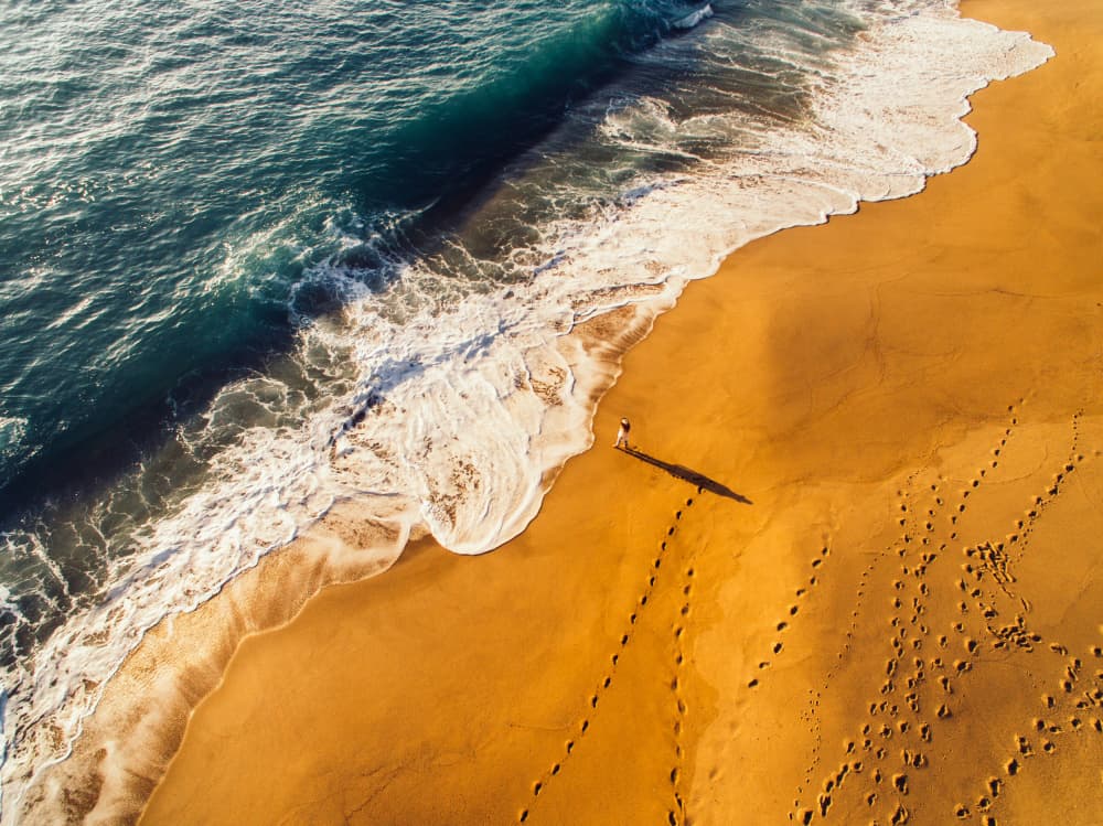 Solitary Walk Golden Beach by Javier Pardina — canvas wall art
