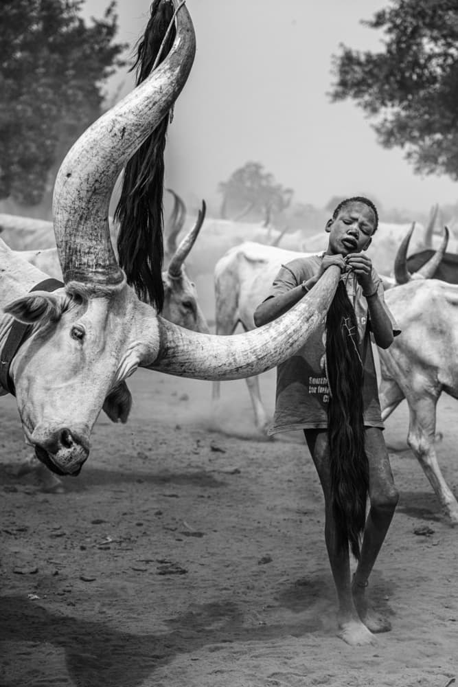 Boy with Giant Horns by Trevor Cole — canvas wall art