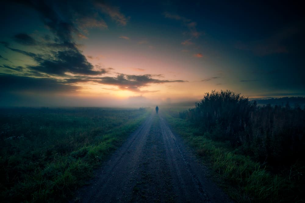 Solitary Path at Sunrise by Mika Suutari — canvas wall art