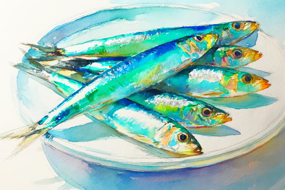 Colorful Sardines Painting by Treechild — canvas wall art